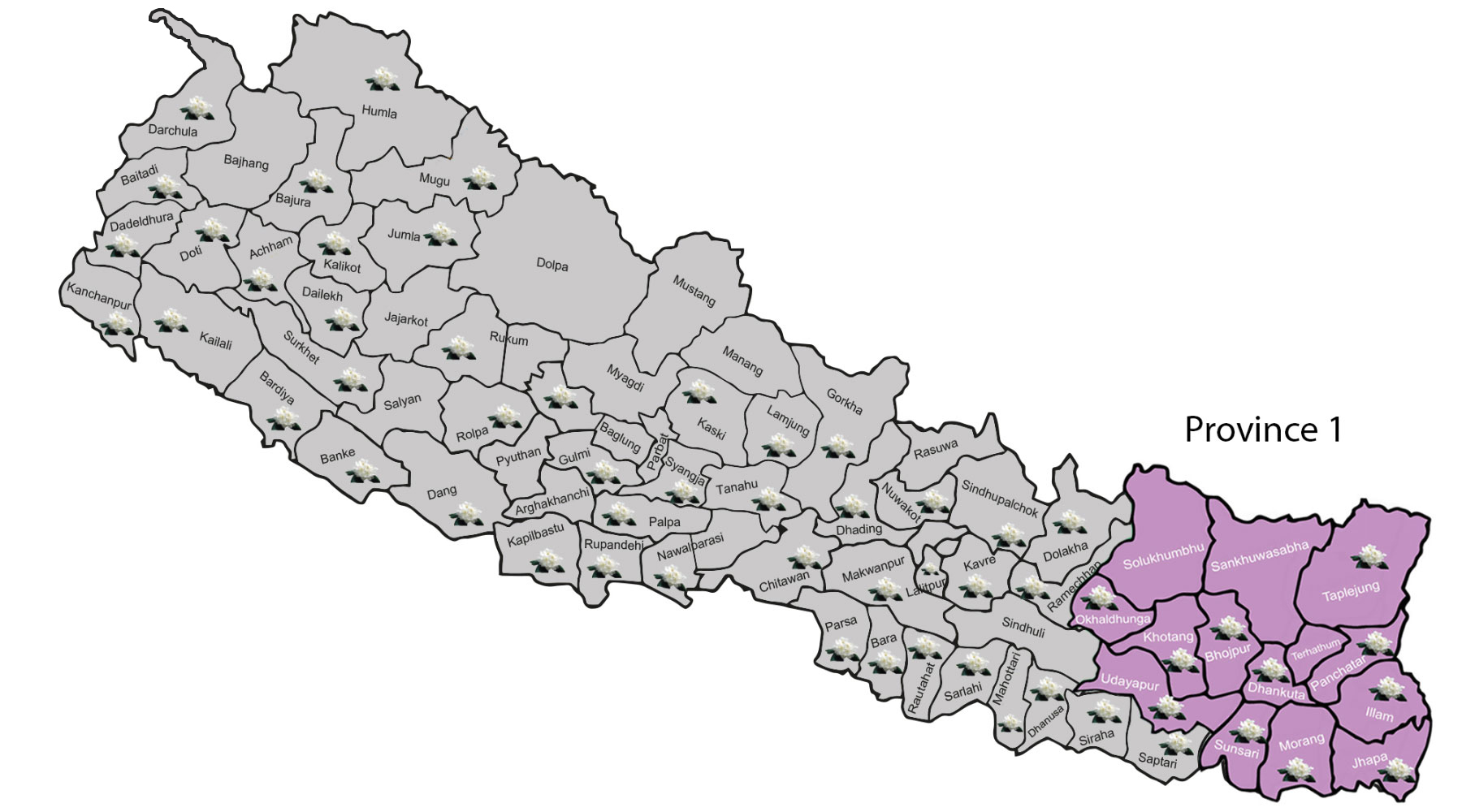 Province 1